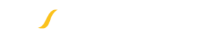 viconcamera logo wh